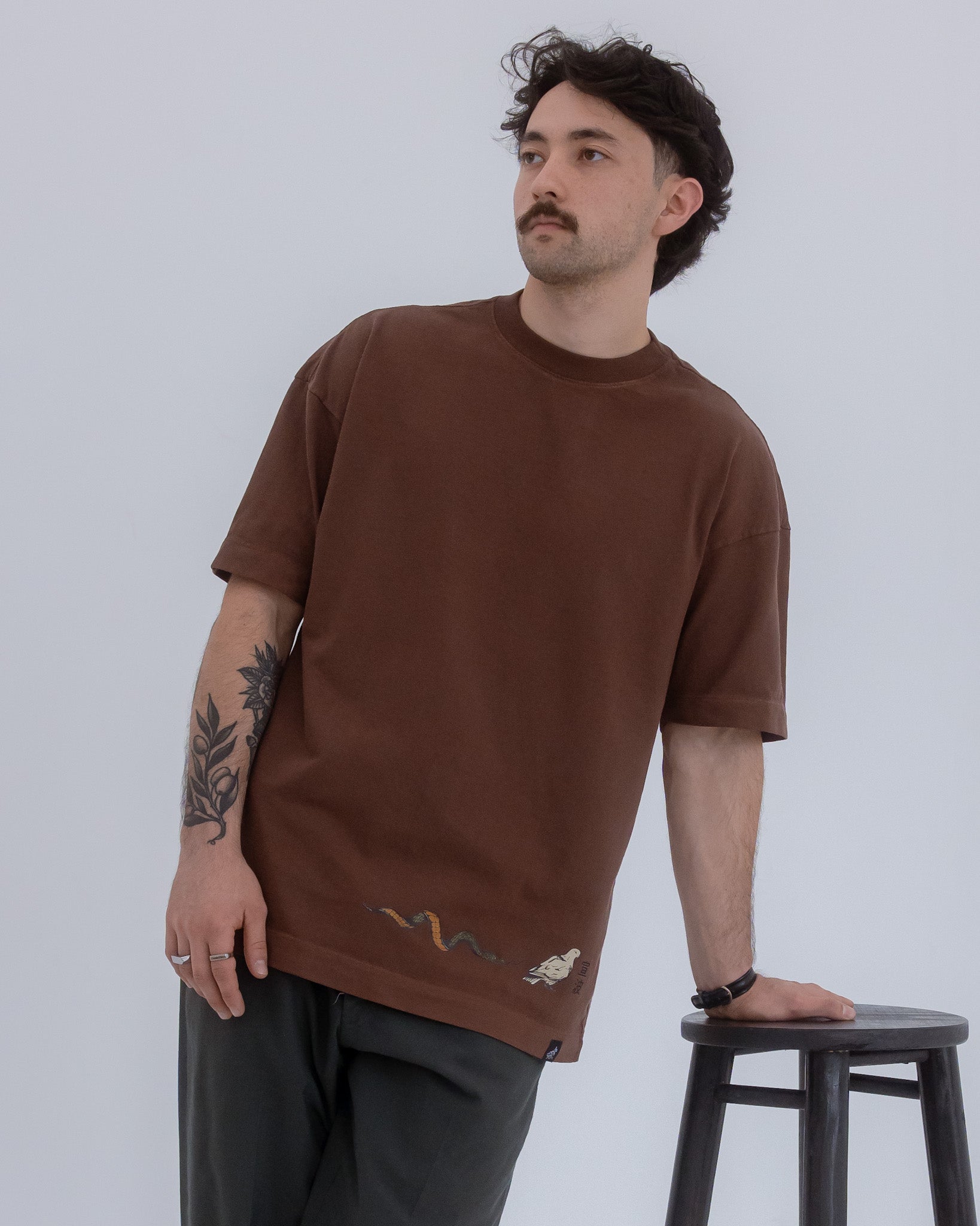 Dove And Serpent Heavy T-Shirt – Brown